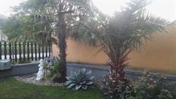 Németh Apartman