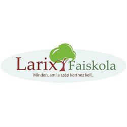 Larix Faiskola