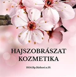 Hajszobrászat Kkt.