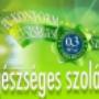 Egészséges szolárium 11. kerület