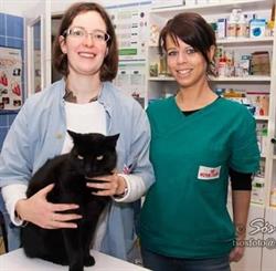 Duo-Vet Állatorvosi Rendelő