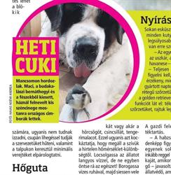 Gömb Állatorvosi Rendelő És Kutyakozmetika