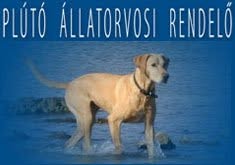 Plútó Állatorvosi Rendelő