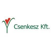 Csenkesz Kft.