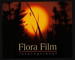 Flóra Film International