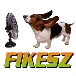 Fikesz-Plusz Kft