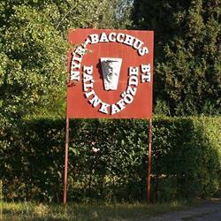 Nyír-Bacchus Bt.