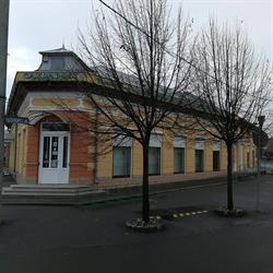 Szolnoki és Társai Kft.