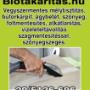 Újabb szolgáltatással bővült tevékenységünk!