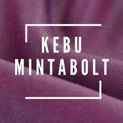 KEBU 2005 KFT.