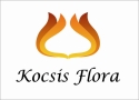 Kocsis Flóra Szőreg
