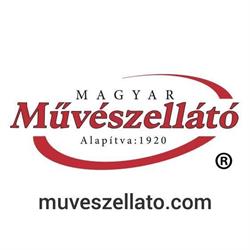 Magyar Művészellátó