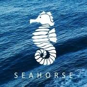 Seahorse Kft
