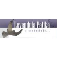 Levendula Patika