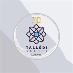 Tallódiné és Társa Kft.