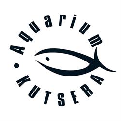 Aquarium Kutsera Kft.