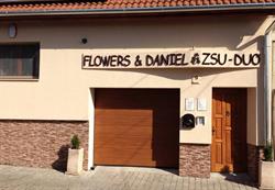 Flowers & Daniel Biztosítási Alkusz És Tanácsadó Kft.