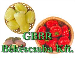 GBBR Békéscsaba Kft.