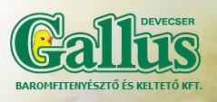 Gallus Baromfitenyésztő És -Keltető Kft.