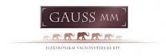 Gauss Mm Elektronikai Vagyonvédelmi Kft.