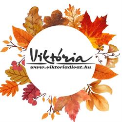 Viktória Divatáruház Győr