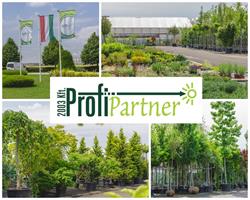 Profi Partner 2003 Kft. Díszfaiskolai nagykereskedés és Vállalkozói diszkont