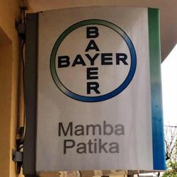 Mamba Gyógyszertár-Szeged