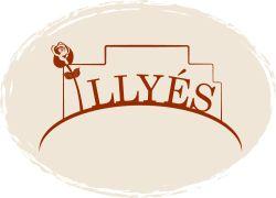 Illyés Gyula Iskola