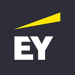 Ernst & Young Tanácsadó Kft.