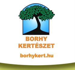 Borhy Kertészet