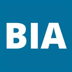 BI Consulting Tanácsadó Kft.