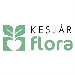 Kesjár Flora Kft.