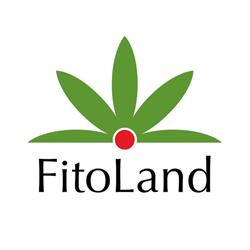 Fitoland Kertészet és Díszfaiskola, Buda