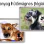 Egyedi fényképes műanyag hűtőmágnes