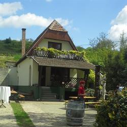 Páll Pincészet