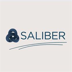 Saliber Bt.