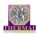 Thermal Kozmetikai Kft.