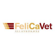 Felicavet Állatorvosi Rendelő