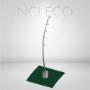 NCI eco