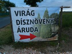 Virág Dísznövény Áruda Víz és Kert Technika Kft.