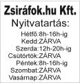 Elektromos futópad javítás