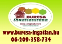 Bursport Bt.
