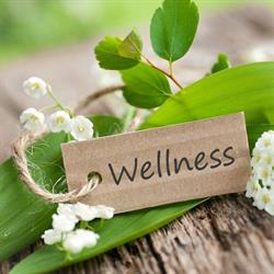 Átrium Panzió & Wellness