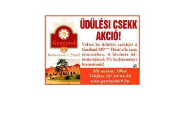 Üdülési-csekk