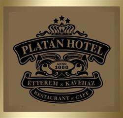 Platán Hotel*** - Sárvár