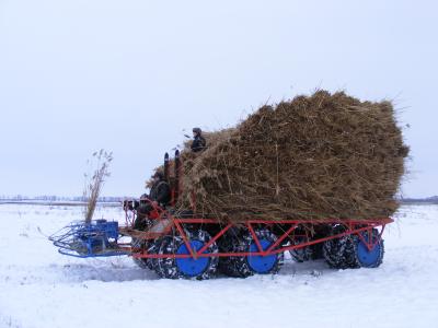 Nádarató