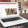 Weboldal készítés, webshop készítése