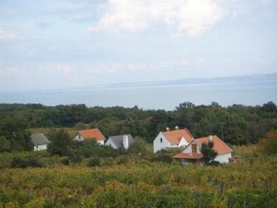 I.M.Ingatlaniroda-Balatonszepezd
