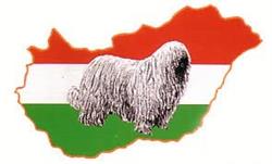 Hungária Komondor Klub
