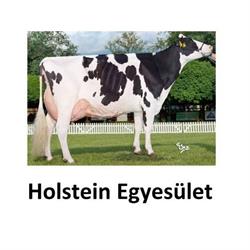Holstein-Fríz Tenyésztők Egyesülete